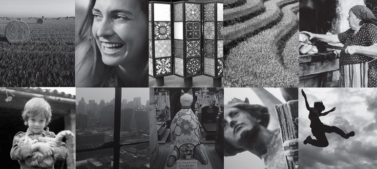 Collage representing Davines' Story